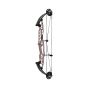 Hoyt Stratos 36 HBT Compound Bows