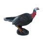 Wildlife 3D Target - Turkey Alerted