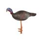 Elong Backyard 3D Target - Large Male Turkey