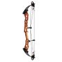 Booster Xt36 Compound Bow